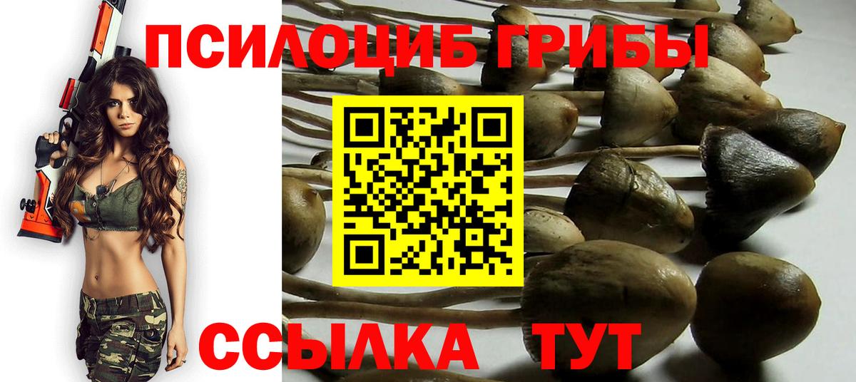 Десногорск  Псилоцибиновые грибы Magic Shrooms  Вход с VPN  где найти   Галлюциногенные грибы ЛСД 